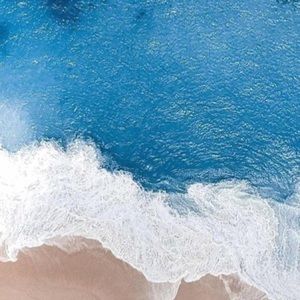 Meet your Posher, Felipe